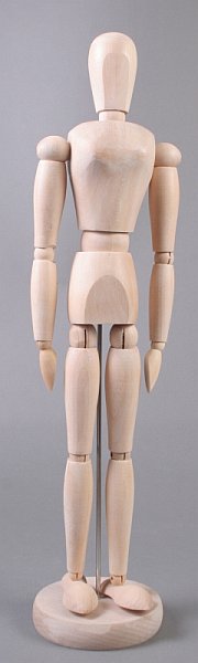 Lesen model človeškega telesa - ženska - 40 cm