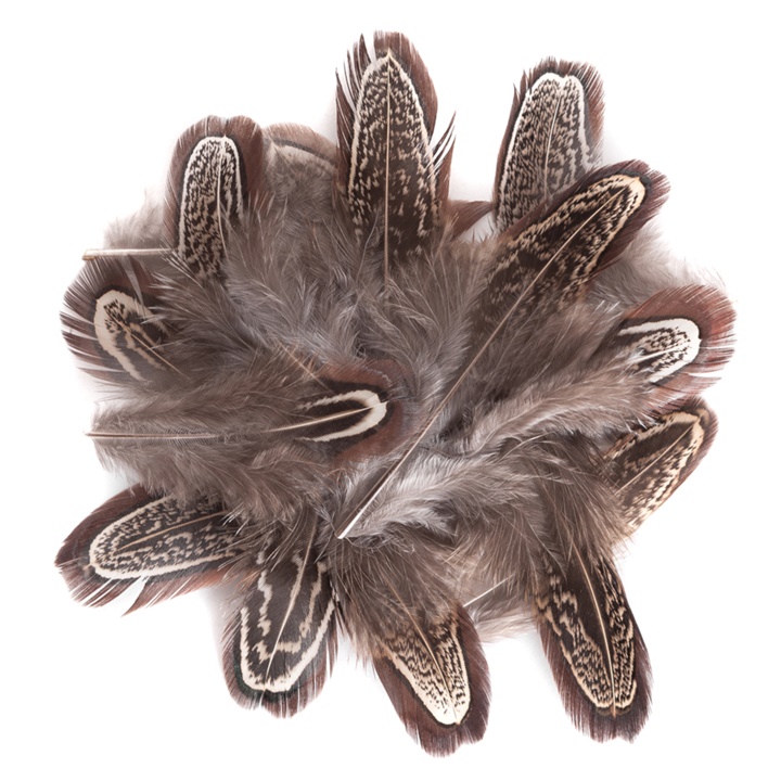 Dekorativno fazanovo perje temno / 15 kosov
