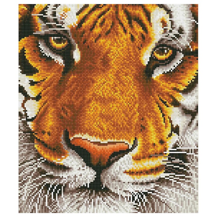 Set s kroglicami Diamond Painting - Bengalski tiger 36 x 42 cm