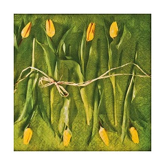Serviete za decoupage Fresh Tulips - 1 kos