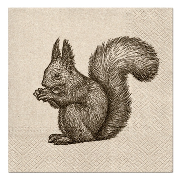 Serviete za decoupage Squirrel - 1 kos